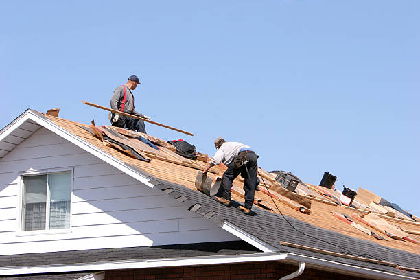 Best Metal Roofing Installation  in Hollywood, FL